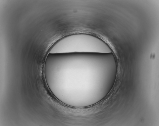 X0000090720010200707201024