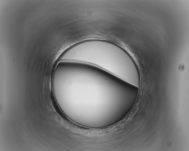 X0000090720011200707201024