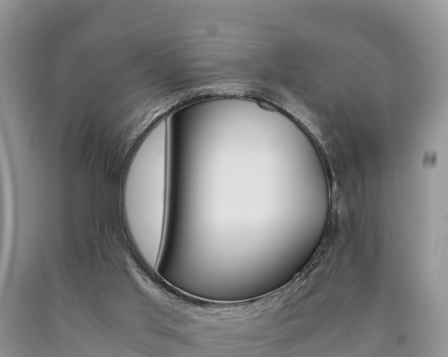X0000090720013200707201024