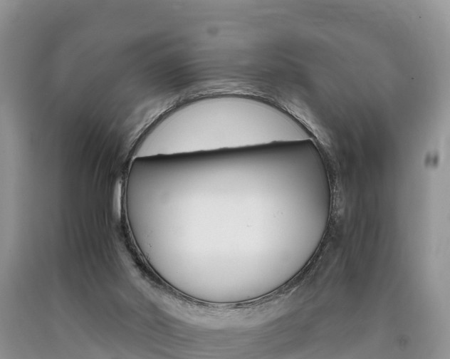 X0000090720014200707201024
