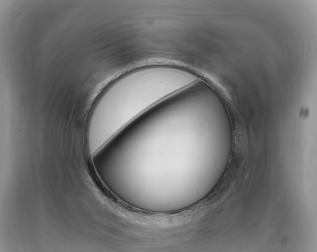 X0000090720015200707201024