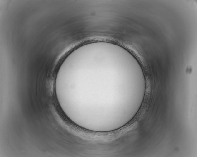 X0000090720016200707201024
