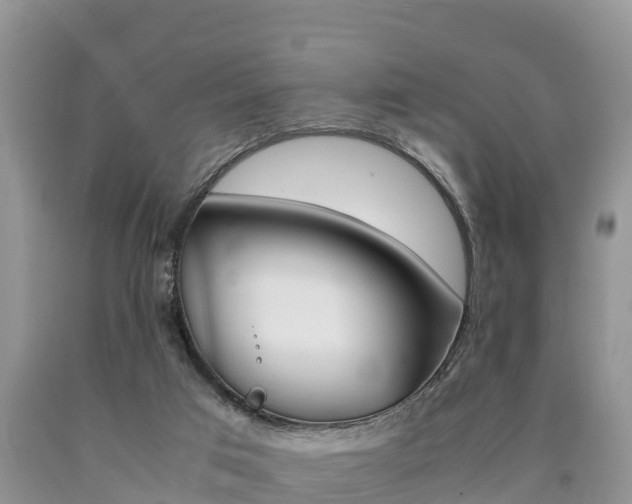 X0000090720017200707201024