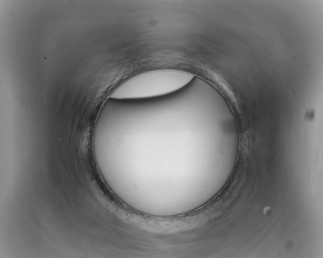X0000090720018200707201024