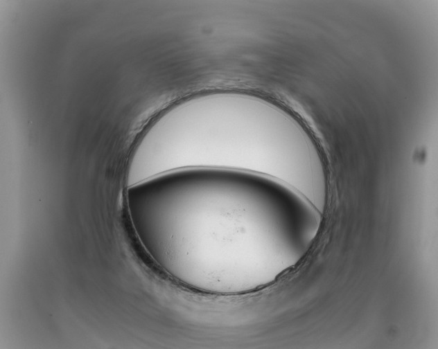 X0000090720019200707201024