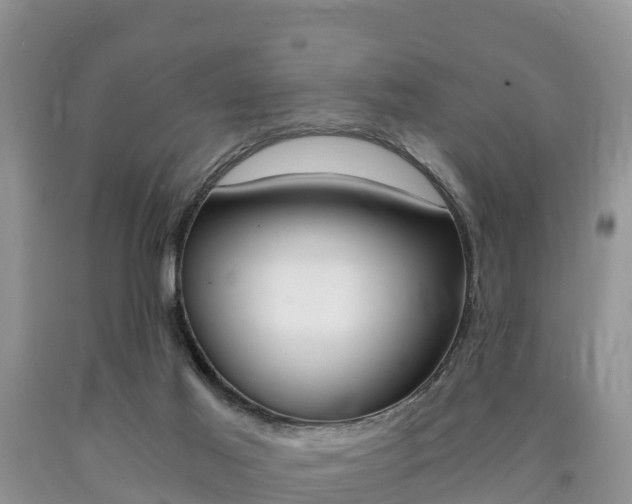 X0000090720021200707201024