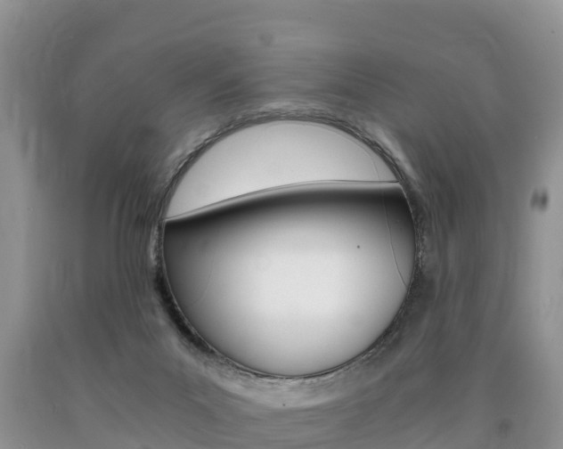 X0000090720023200707201023