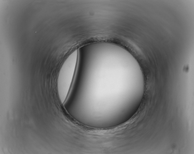 X0000090720025200707201023