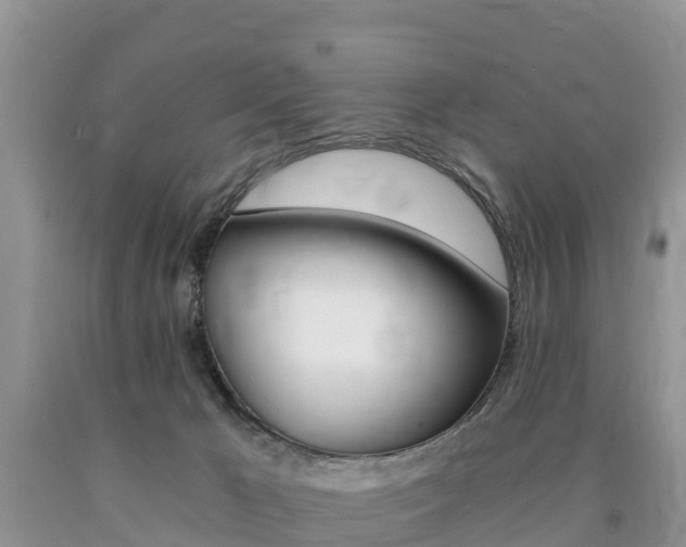 X0000090720029200707201023