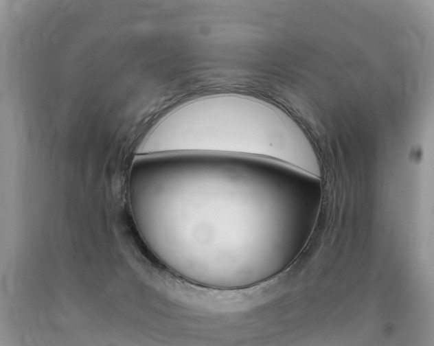 X0000090720031200707201023