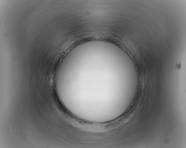 X0000090720032200707201023