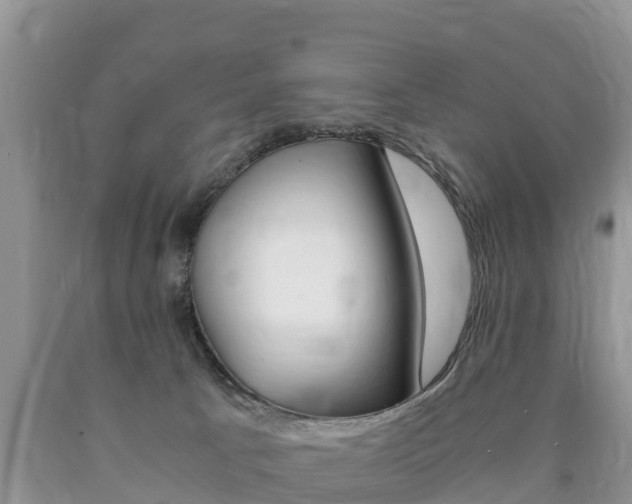 X0000090720033200707201023