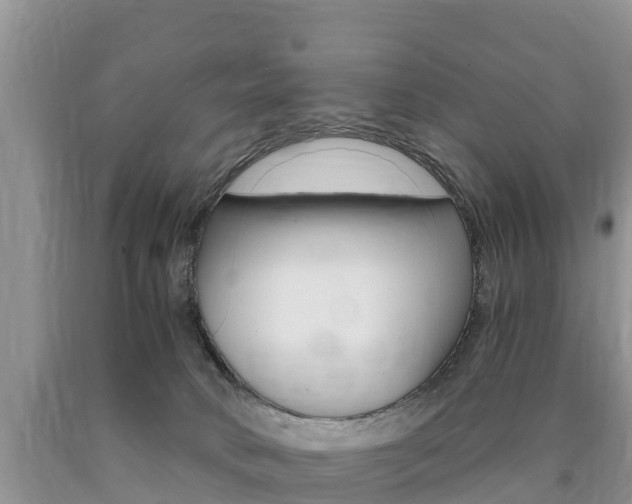 X0000090720034200707201023