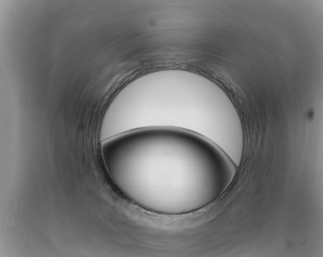 X0000090720035200707201023