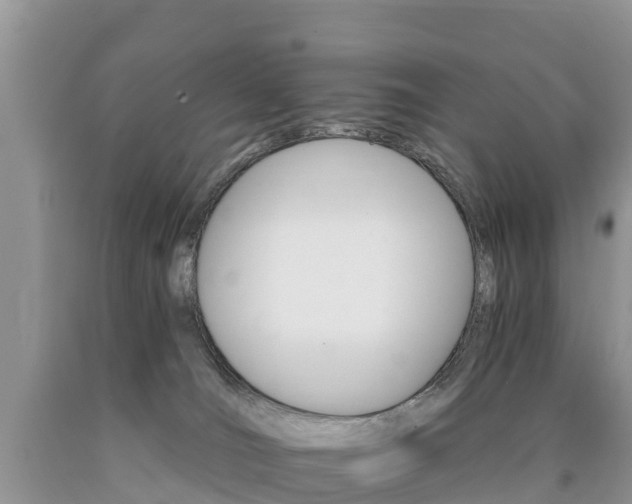 X0000090720036200707201023