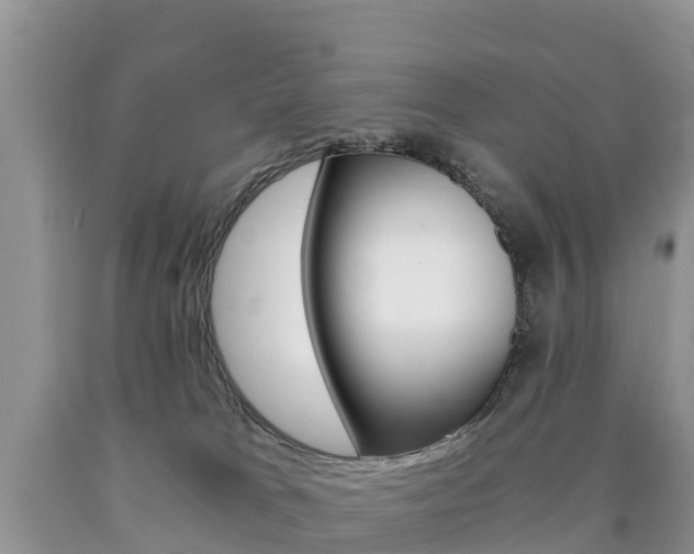X0000090720037200707201023