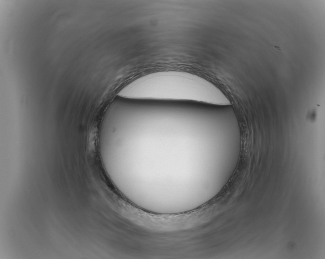 X0000090720038200707201023