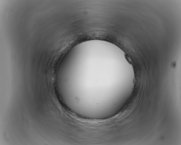 X0000090720040200707201023