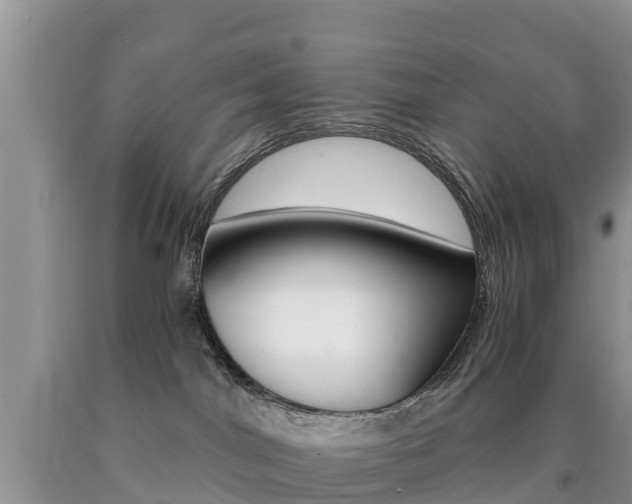 X0000090720044200707201023