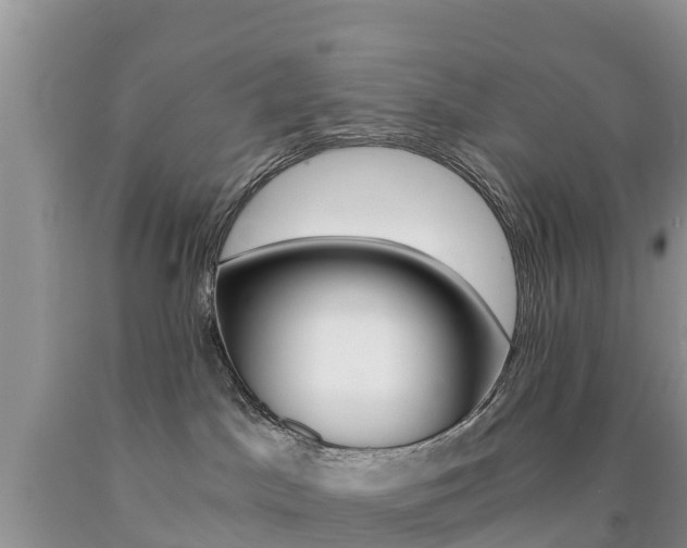X0000090720045200707201023