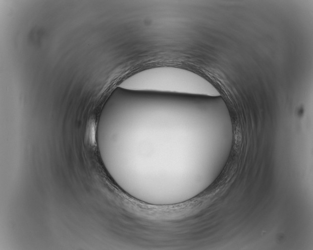 X0000090720046200707201023