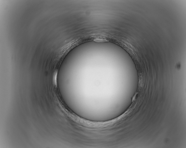 X0000090720047200707201023