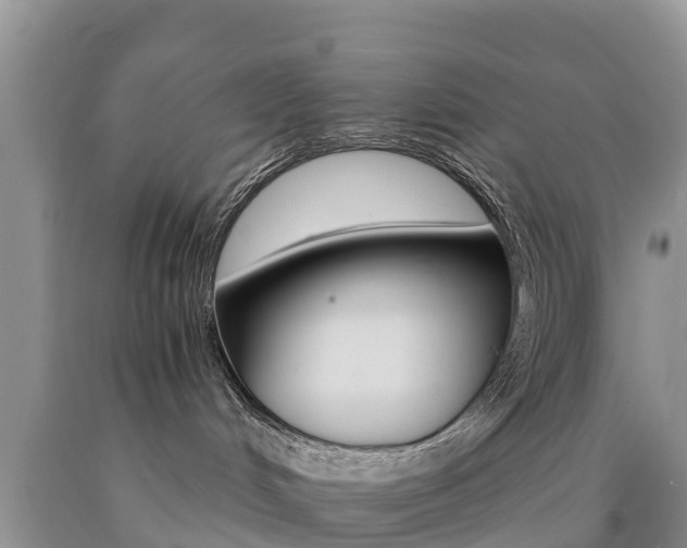 X0000090720048200707201023