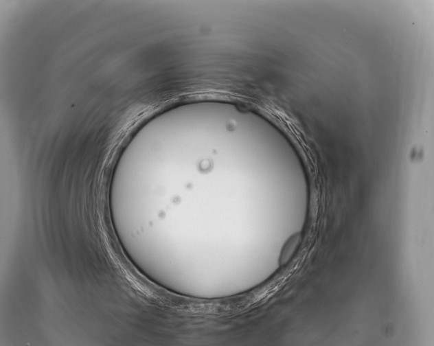 X0000090720049200707201022