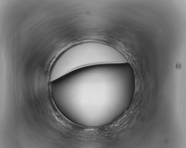 X0000090720050200707201022