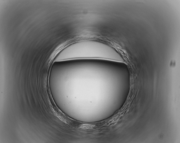 X0000090720051200707201022