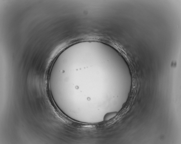 X0000090720053200707201022