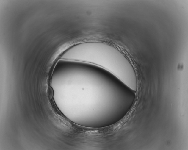 X0000090720054200707201022