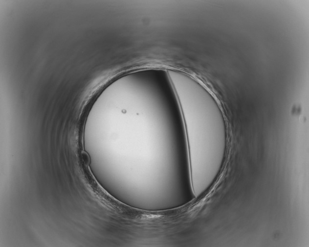 X0000090720055200707201022