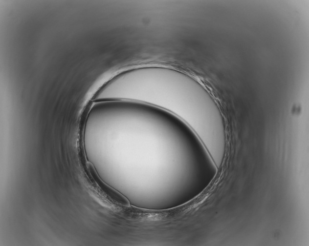 X0000090720056200707201022