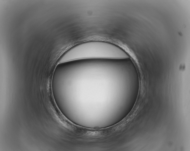 X0000090720057200707201022