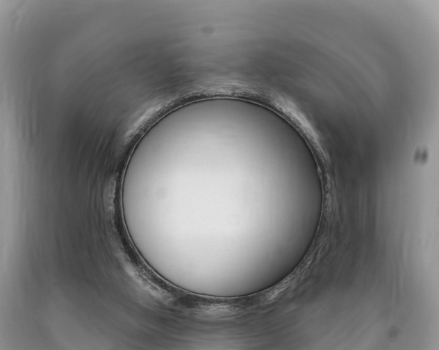 X0000090720058200707201022