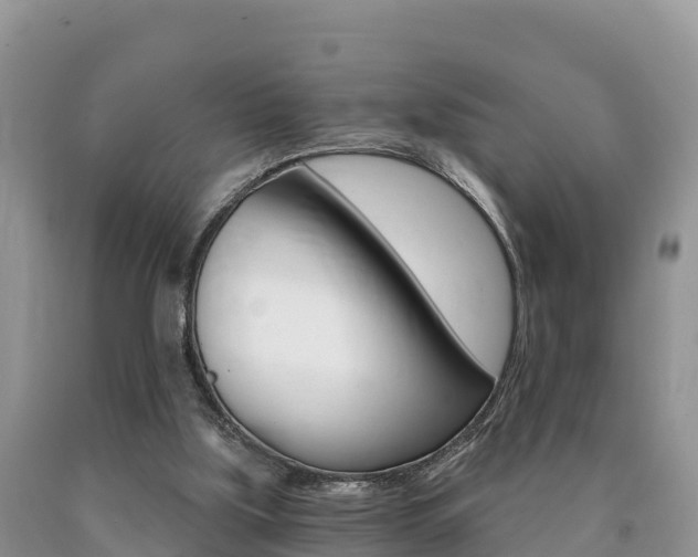 X0000090720059200707201022