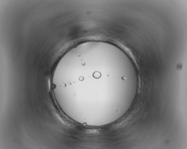 X0000090720061200707201023