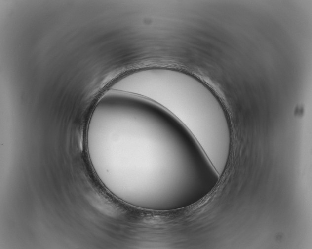 X0000090720062200707201023