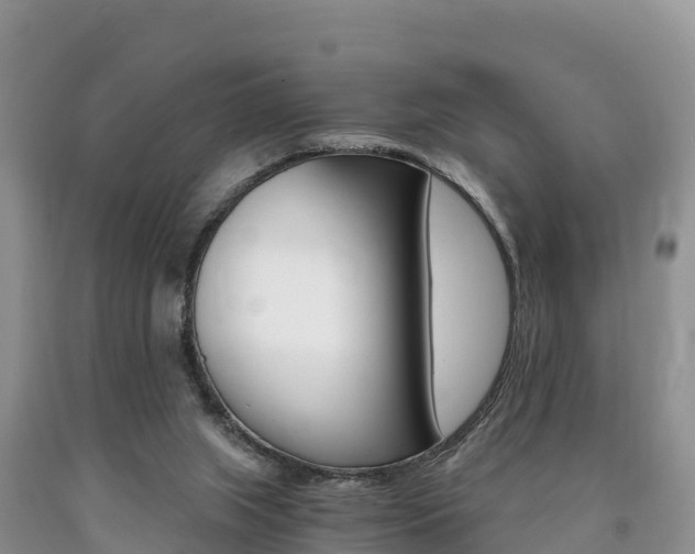 X0000090720063200707201023