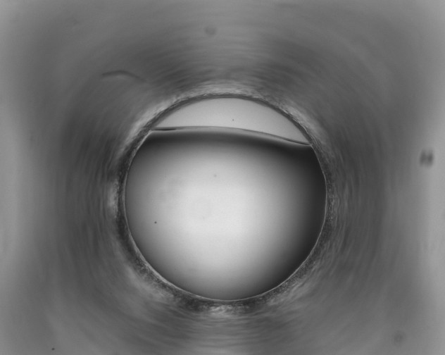 X0000090720064200707201023