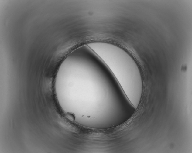 X0000090720066200707201023