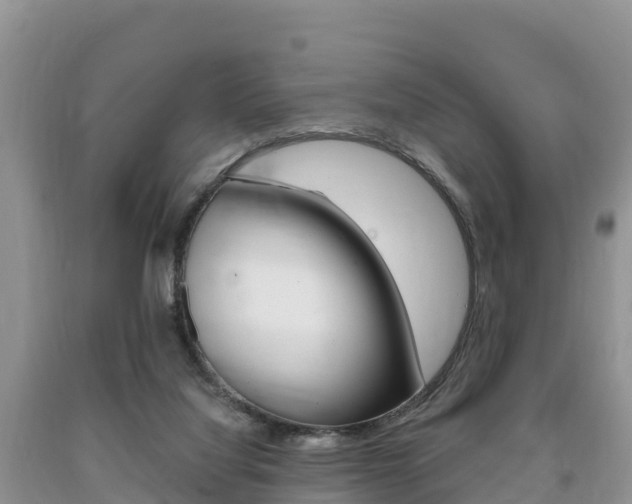 X0000090720068200707201023