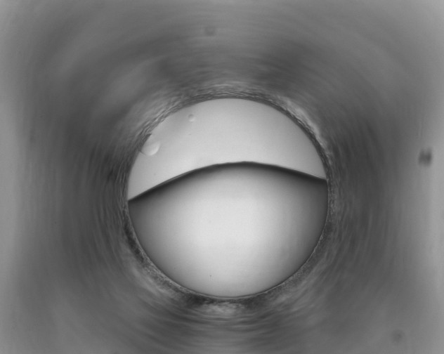 X0000090720069200707201023