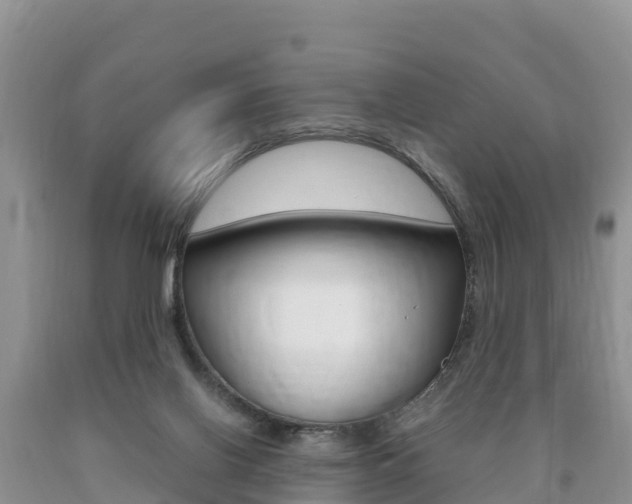 X0000090720070200707201023