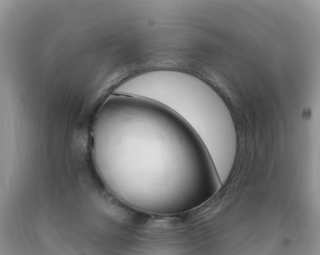 X0000090720072200707201023