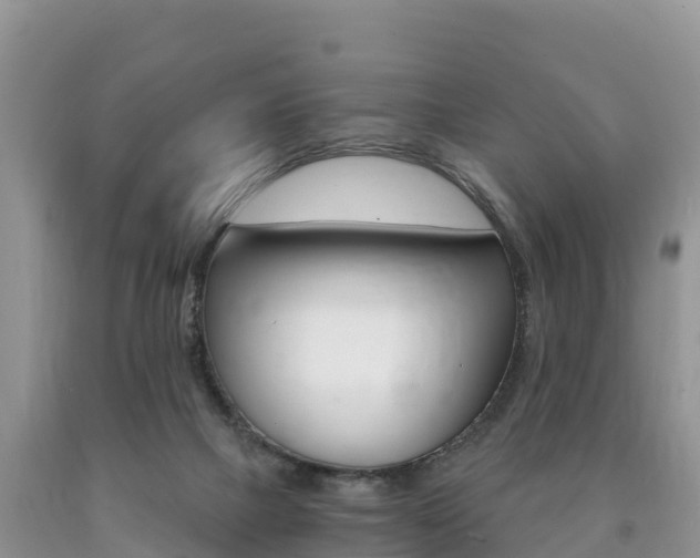 X0000090720073200707201023