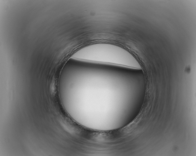 X0000090720074200707201023