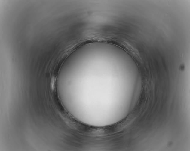 X0000090720075200707201023