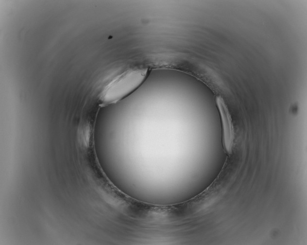 X0000090720076200707201023
